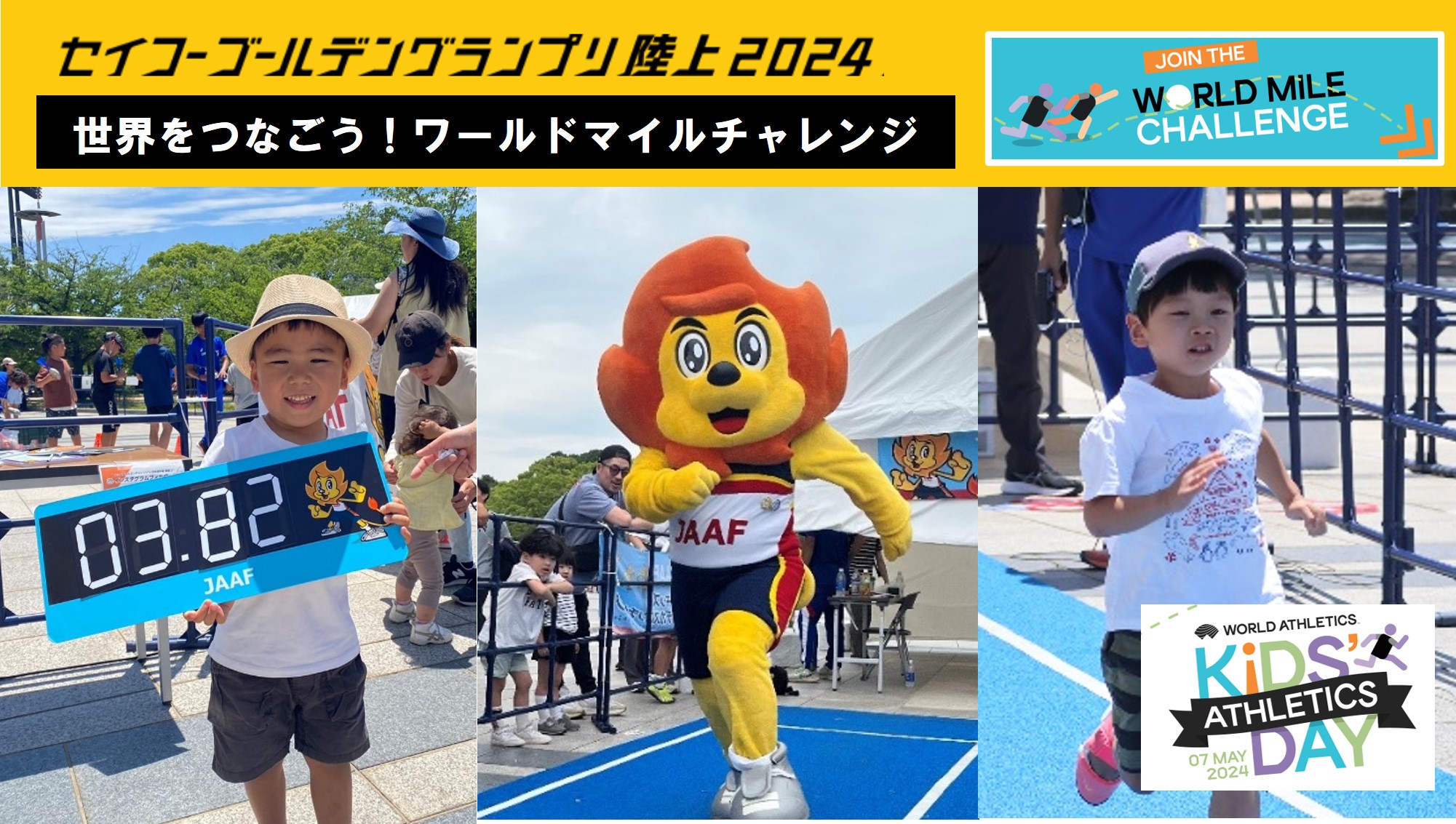 即決★アートネイチャー★PLサピア HYB　オーダーメイド トップピース 部分かつら 鬘 カツラ 部分ウィッグ ★明るめ茶色 オトメイトの姉弟ブランド「ALTERGEAR(オルタギア)」新作「DIG-ROCK